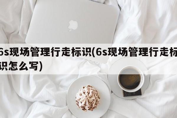 6s现场管理行走标识(6s现场管理行走标识怎么写)